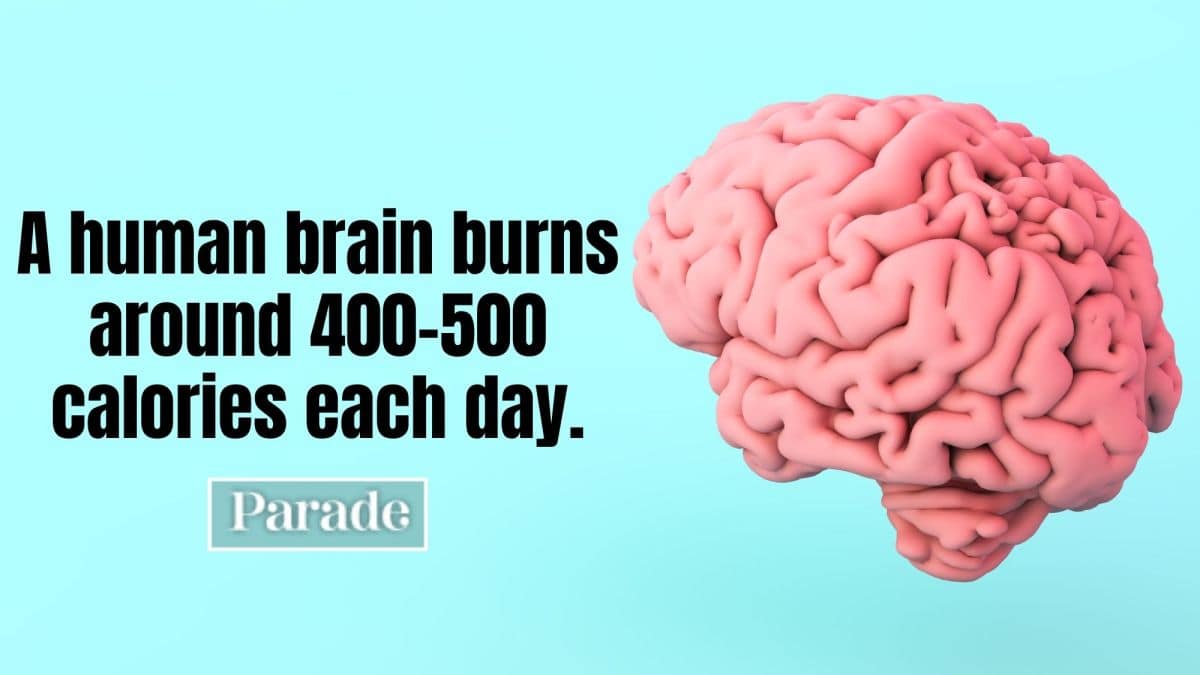 Daily Ramdom Facts Bc