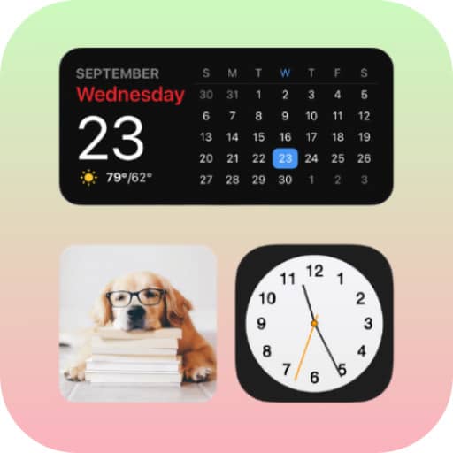 Widget Logo